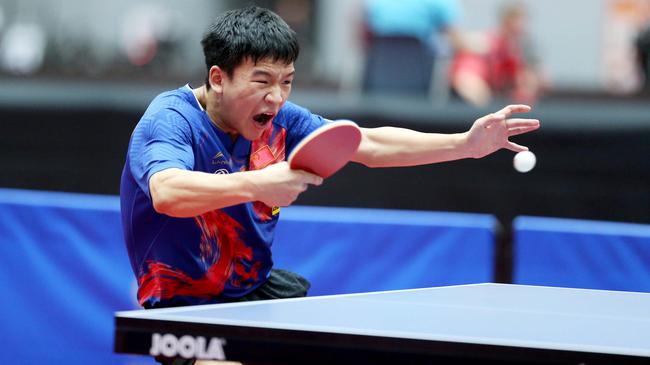 锦赛的观众 锦赛的观众